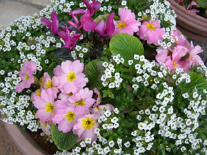 f:id:colorbless:20110314133700j:image