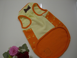 f:id:colorbless:20110320224842j:image f:id:colorbless:20110320224842j:image