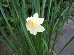 f:id:colorbless:20110331175954j:image