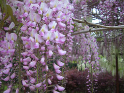 f:id:colorbless:20110430181148j:image