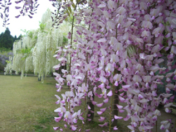 f:id:colorbless:20110430181413j:image