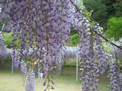 f:id:colorbless:20110430181706j:image