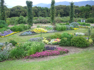 f:id:colorbless:20110505164034j:image