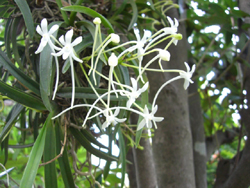 f:id:colorbless:20110716161033j:image