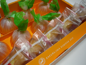 f:id:colorbless:20110801221249j:image