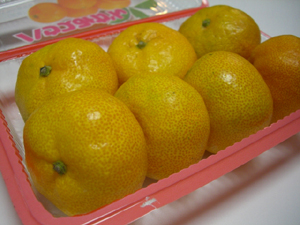f:id:colorbless:20110802214239j:image