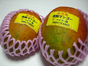 f:id:colorbless:20110806214758j:image