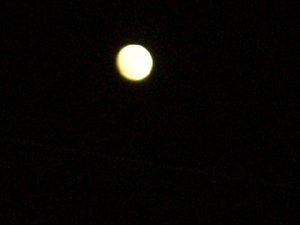 f:id:colorbless:20110812194758j:image