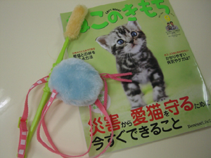 f:id:colorbless:20110815150008j:image f:id:colorbless:20110815150008j:image