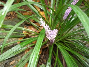 f:id:colorbless:20110821134018j:image f:id:colorbless:20110821134018j:image