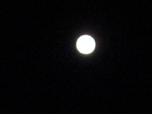 f:id:colorbless:20110912213326j:image