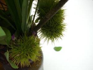 f:id:colorbless:20110912214002j:image