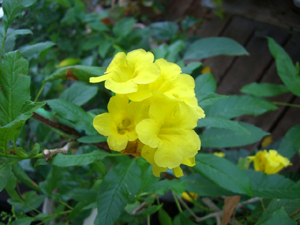 f:id:colorbless:20110916160437j:image