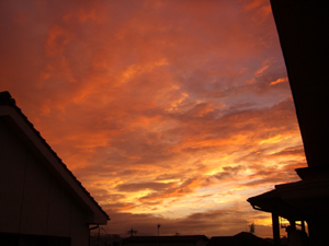 f:id:colorbless:20110916183644j:image