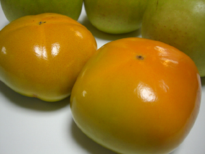 f:id:colorbless:20110917160114j:image