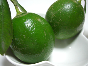 f:id:colorbless:20111006171728j:image