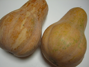 20111010221209