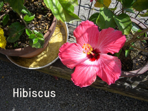 f:id:colorbless:20111022123544j:image f:id:colorbless:20111022123544j:image