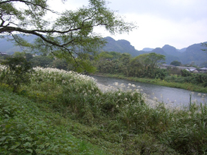 f:id:colorbless:20111025120041j:image