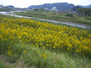f:id:colorbless:20111025120408j:image