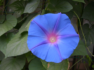 f:id:colorbless:20111025121806j:image f:id:colorbless:20111025121806j:image