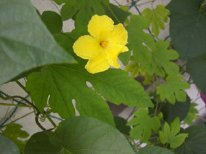 f:id:colorbless:20111025121836j:image f:id:colorbless:20111025121836j:image