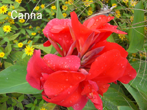 f:id:colorbless:20111028113550j:image