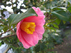 f:id:colorbless:20111213143414j:image f:id:colorbless:20111213143414j:image