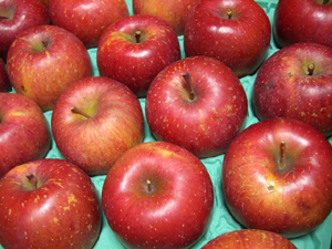 f:id:colorbless:20111224162921j:image f:id:colorbless:20111224162921j:image