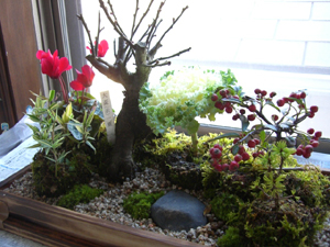 f:id:colorbless:20120104162922j:image f:id:colorbless:20120104162922j:image