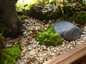 f:id:colorbless:20120104163251j:image f:id:colorbless:20120104163251j:image