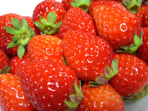 f:id:colorbless:20120105190041j:image