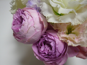 f:id:colorbless:20120124152350j:image f:id:colorbless:20120124152350j:image