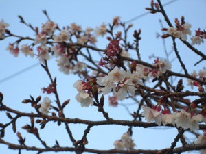 f:id:colorbless:20120131174541j:image f:id:colorbless:20120131174541j:image