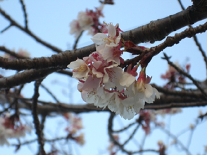 f:id:colorbless:20120131174639j:image f:id:colorbless:20120131174639j:image