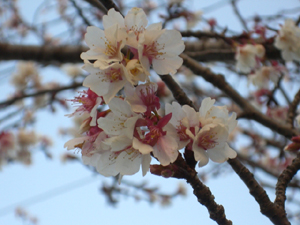 f:id:colorbless:20120131174656j:image f:id:colorbless:20120131174656j:image