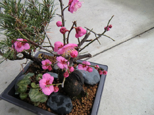 f:id:colorbless:20120214202501j:image