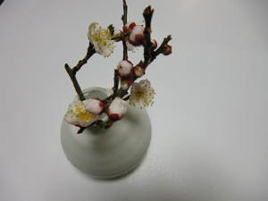 f:id:colorbless:20120217002506j:image