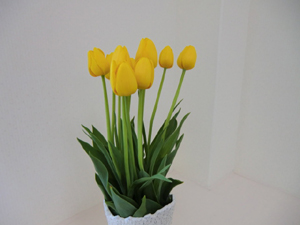 f:id:colorbless:20120218202059j:image