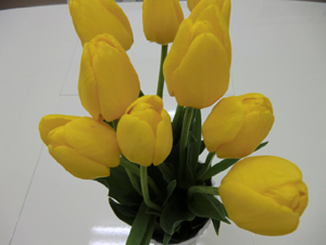 f:id:colorbless:20120218202524j:image