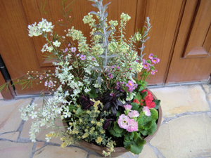f:id:colorbless:20120220172259j:image f:id:colorbless:20120220172259j:image