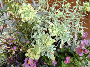 f:id:colorbless:20120220172348j:image f:id:colorbless:20120220172348j:image