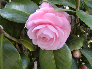 f:id:colorbless:20120226184200j:image
