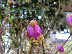 f:id:colorbless:20120324184446j:image