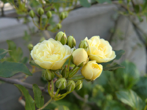f:id:colorbless:20120331195704j:image f:id:colorbless:20120331195704j:image