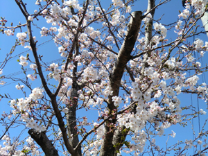 20120405175951