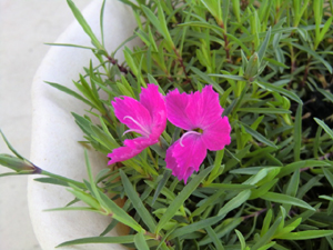 f:id:colorbless:20120405180333j:image