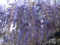 20120408153736