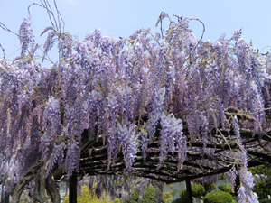 f:id:colorbless:20120408153924j:image