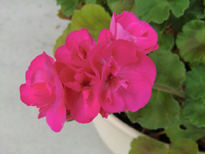f:id:colorbless:20120415181332j:image